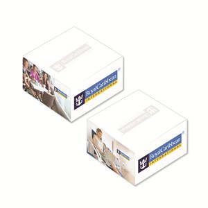 3 3/8" x 1 3/4" Full Color Memo Cube - 350 Sheet
