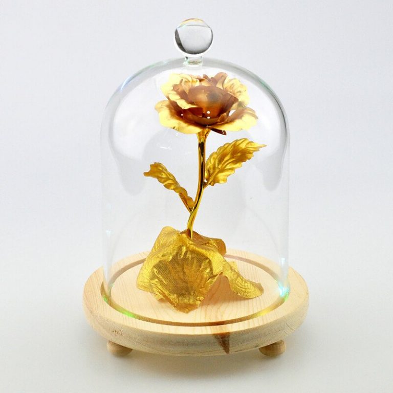 Beauty and the Beast Glass Dome w/ Wooden Base Ever Promos
