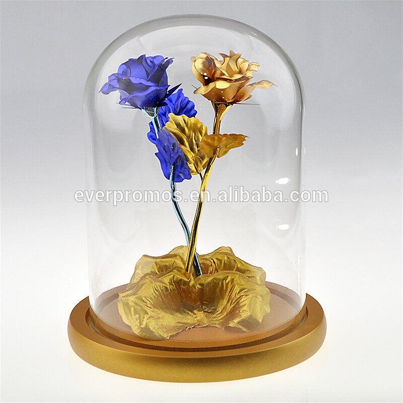 glass dome supplier china (1)