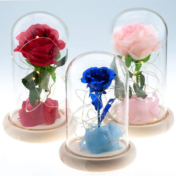 Beauty and the Beast Glass Dome w/ Wooden Base Ever Promos