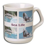 Transfer Printing